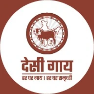 Store